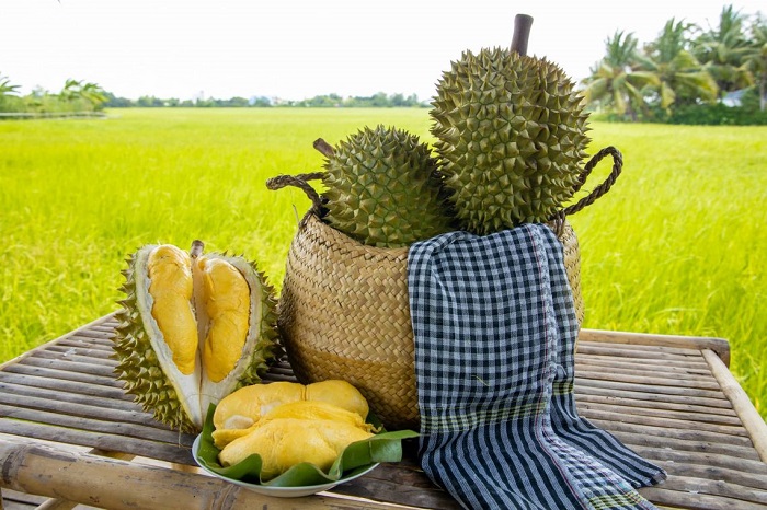 spécialité culinaire Vietnam durian